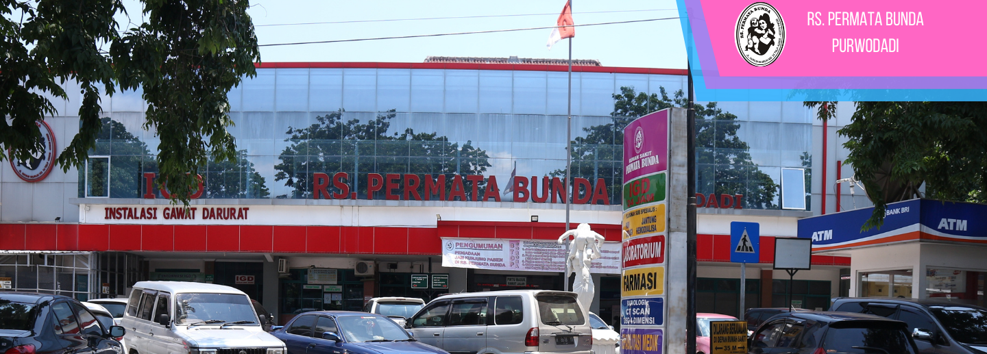 Struktur Organisasi Rumah Sakit Permata Bunda